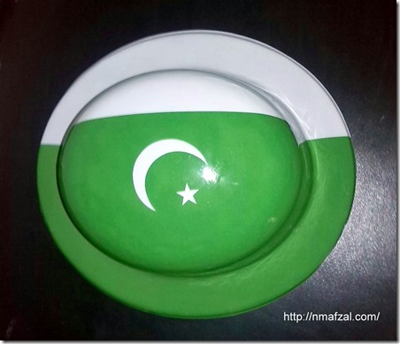 Pakistan Flag (2)